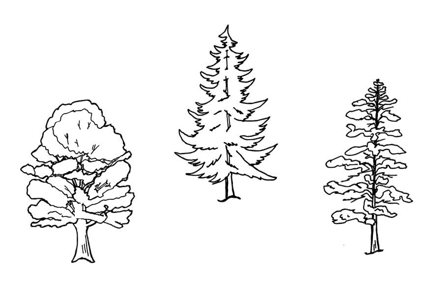 Dibujo para colorear Arboles